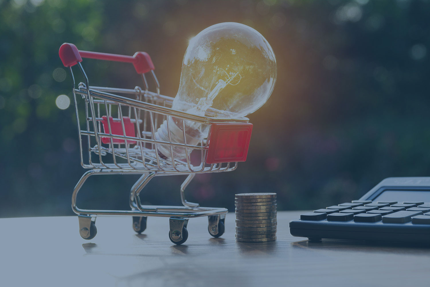 Fast Track Audit